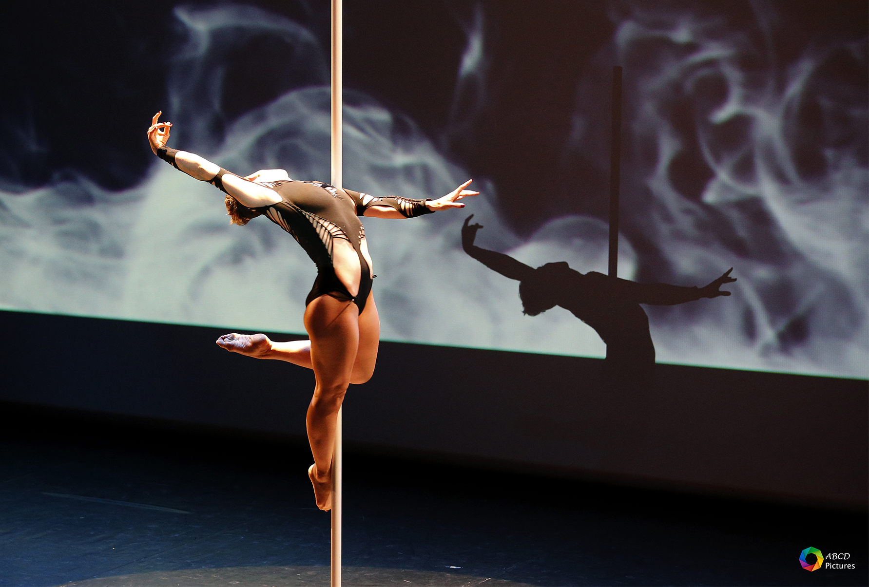 pole danse 2018 c