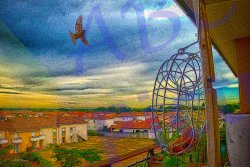 0010_oiseau